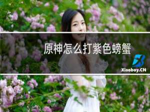 原神怎么打紫色螃蟹