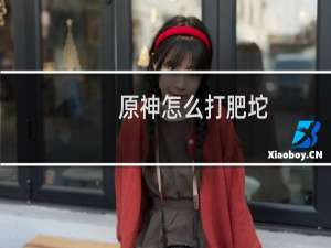 原神怎么打肥坨