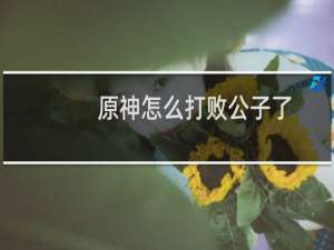 原神怎么打败公子了