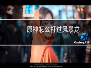 原神怎么打过风暴龙