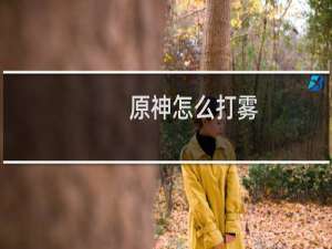 原神怎么打雾