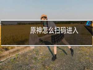 原神怎么扫码进入