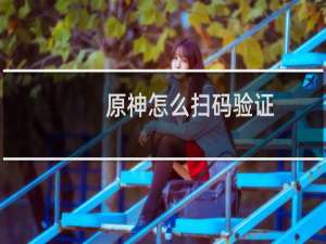 原神怎么扫码验证
