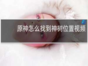 原神怎么找到神树位置视频