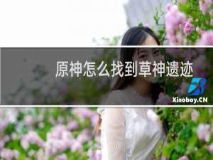 原神怎么找到草神遗迹