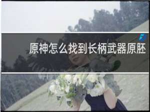 原神怎么找到长柄武器原胚