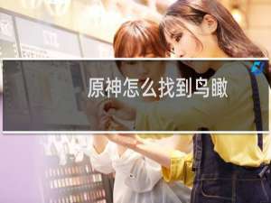 原神怎么找到鸟瞰
