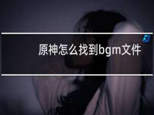 原神怎么找到bgm文件