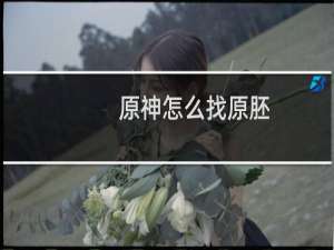 原神怎么找原胚