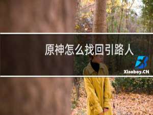原神怎么找回引路人