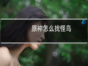 原神怎么找怪鸟