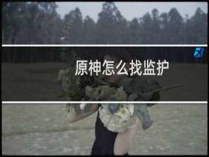 原神怎么找监护
