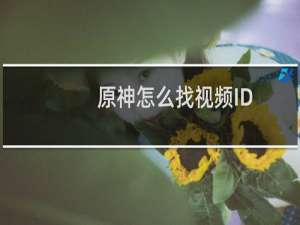 原神怎么找视频ID
