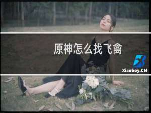 原神怎么找飞禽