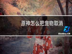 原神怎么把宠物取消