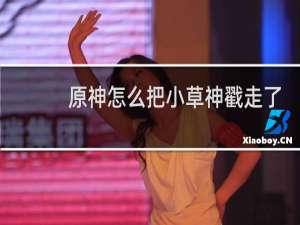 原神怎么把小草神戳走了