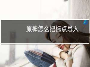 原神怎么把标点导入