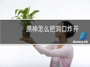 原神怎么把洞口炸开