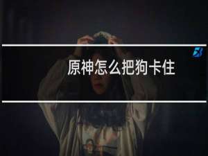 原神怎么把狗卡住
