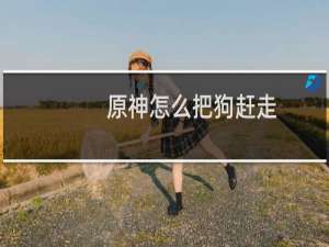 原神怎么把狗赶走
