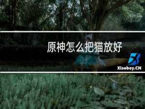 原神怎么把猫放好