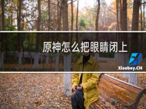 原神怎么把眼睛闭上