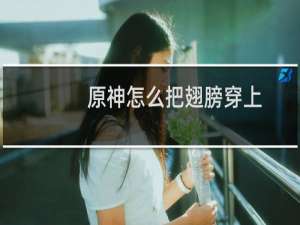 原神怎么把翅膀穿上