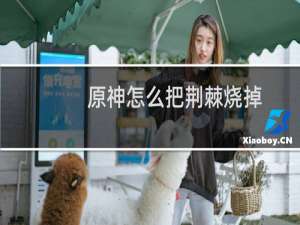 原神怎么把荆棘烧掉