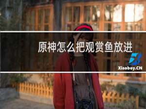 原神怎么把观赏鱼放进