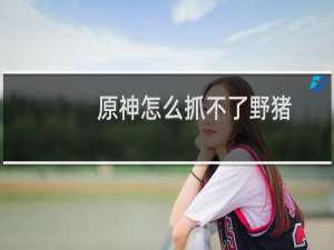 原神怎么抓不了野猪