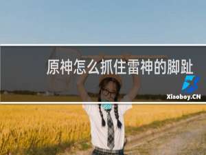 原神怎么抓住雷神的脚趾
