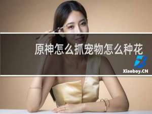 原神怎么抓宠物怎么种花