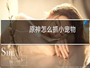 原神怎么抓小宠物