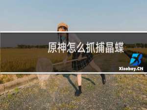 原神怎么抓捕晶蝶