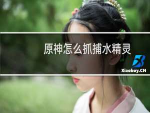 原神怎么抓捕水精灵