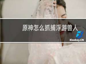 原神怎么抓捕浮游兽人