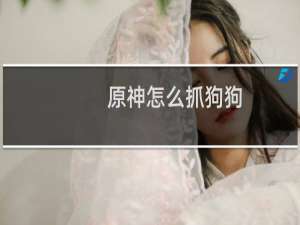 原神怎么抓狗狗