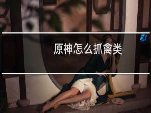 原神怎么抓禽类