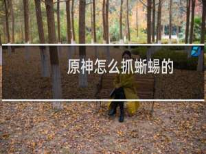 原神怎么抓蜥蜴的