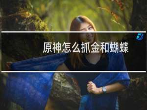 原神怎么抓金和蝴蝶