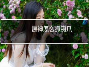 原神怎么抓钩爪