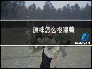 原神怎么投喂兽