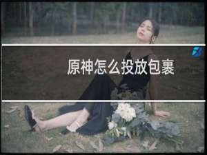 原神怎么投放包裹