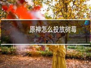 原神怎么投放树莓