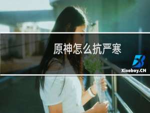 原神怎么抗严寒