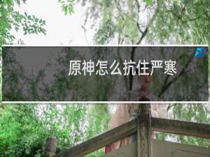 原神怎么抗住严寒