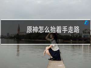 原神怎么抬着手走路