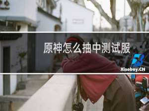 原神怎么抽中测试服