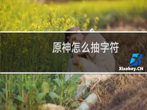 原神怎么抽字符