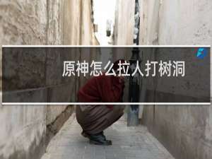 原神怎么拉人打树洞